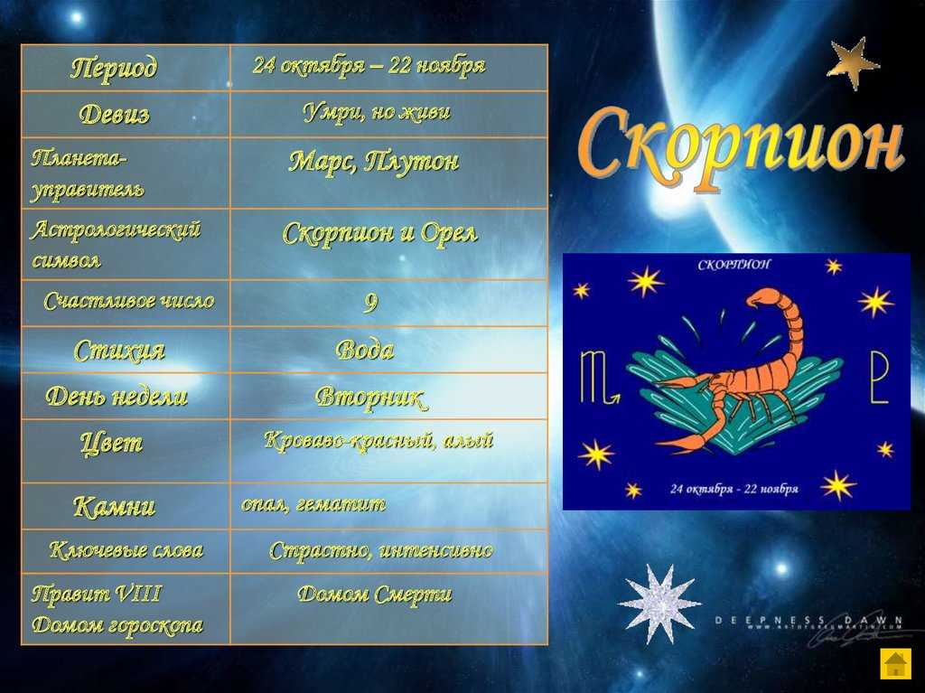 22 ноября. события и люди | есть повод | cвободное время | аиф аргументы и факты в беларуси