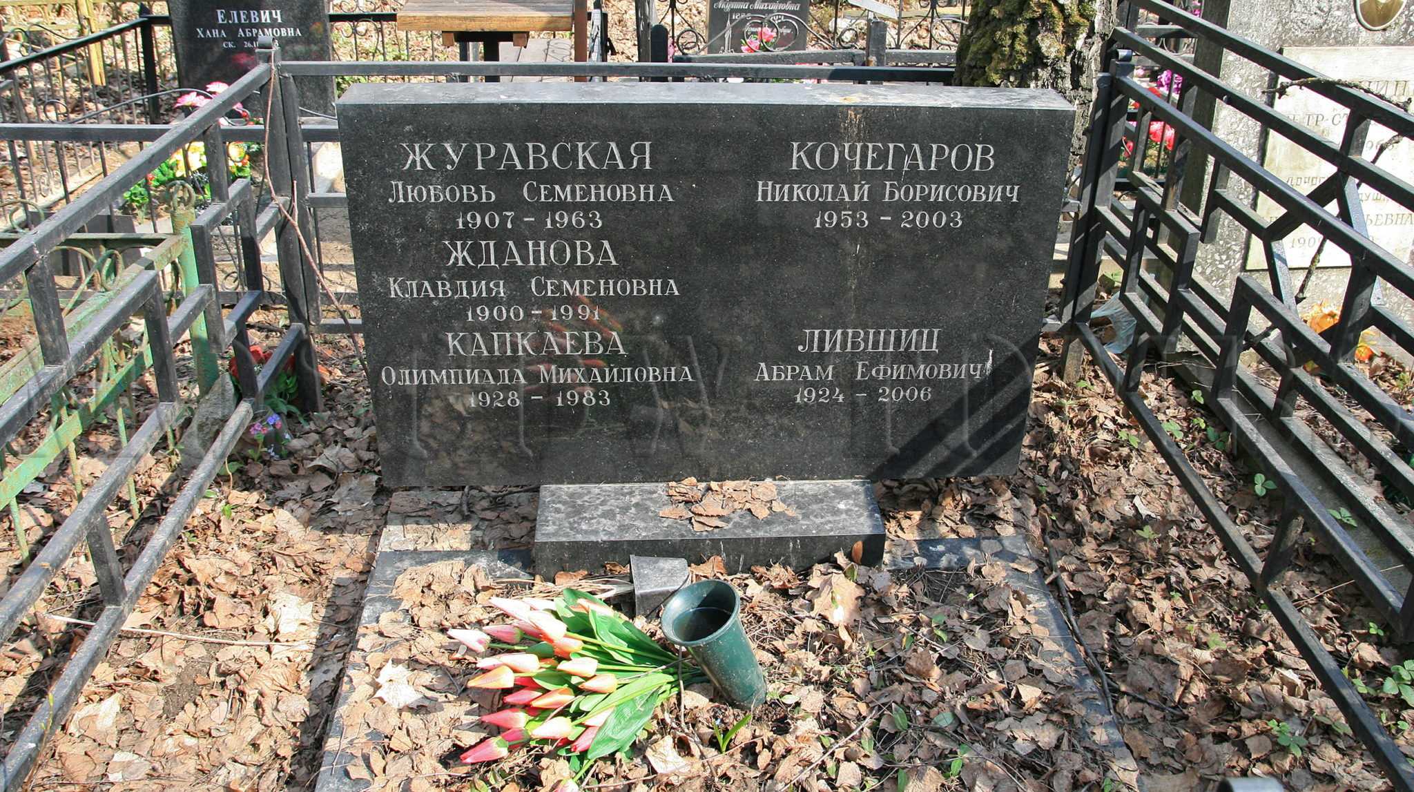 Кочегаров, николай борисович — рувики