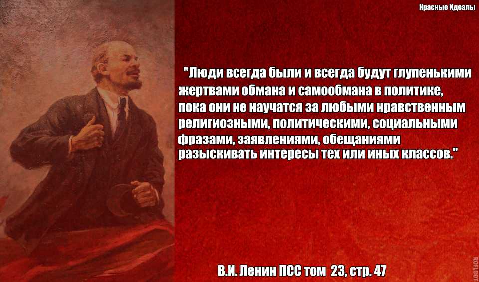Биография петра мамонова: группа «звуки му», роль ивана грозного и смерть от коронавируса