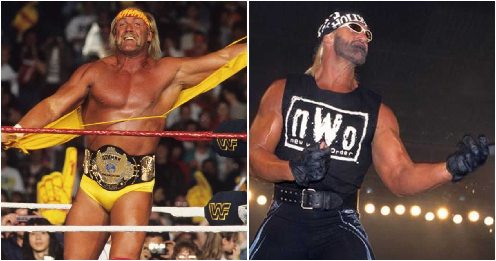 Hulk hogan - age, career & facts
