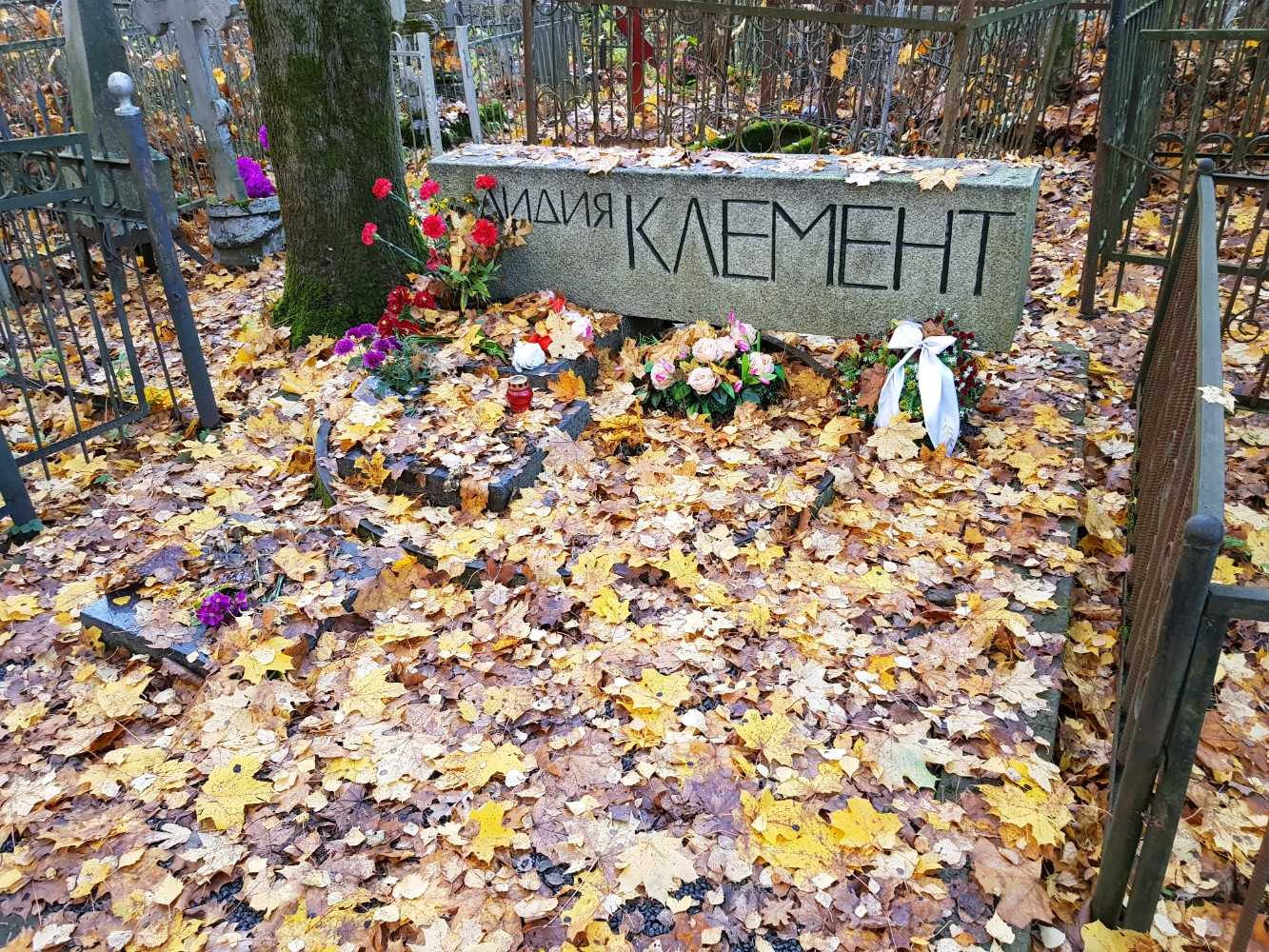 Лидия клемент. когда нам двадцать лет...