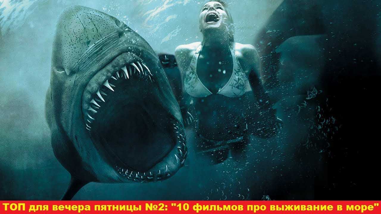 Топ лучших фильмов про акул