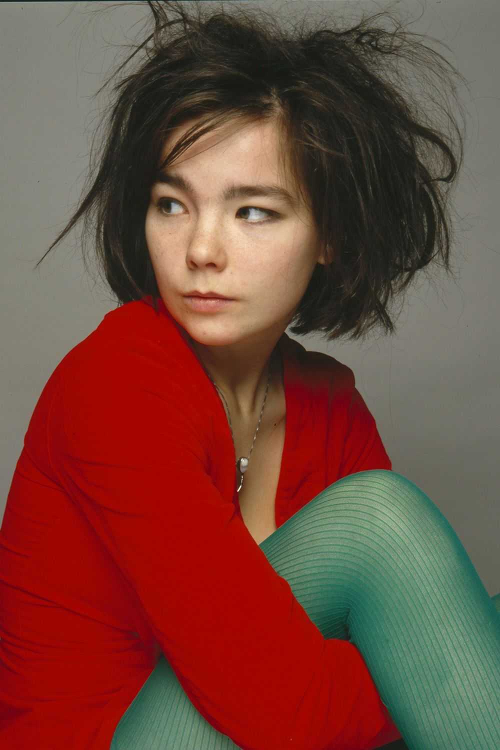 Bjork (бьорк): биография певицы - salve music