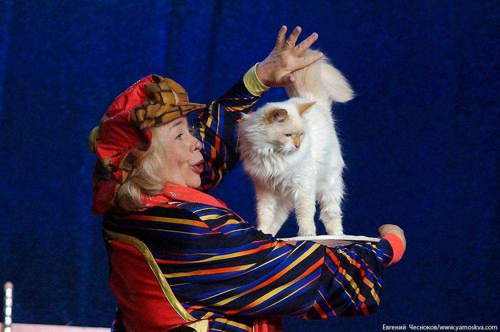 Куклачёв, юрий дмитриевич — рувики