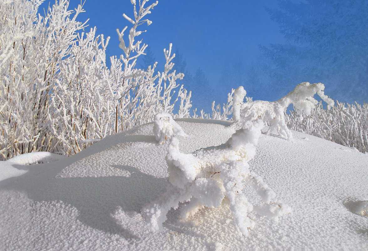 Как добавить fake snow на фотографию с помощью gimp - gadgetshelp,com