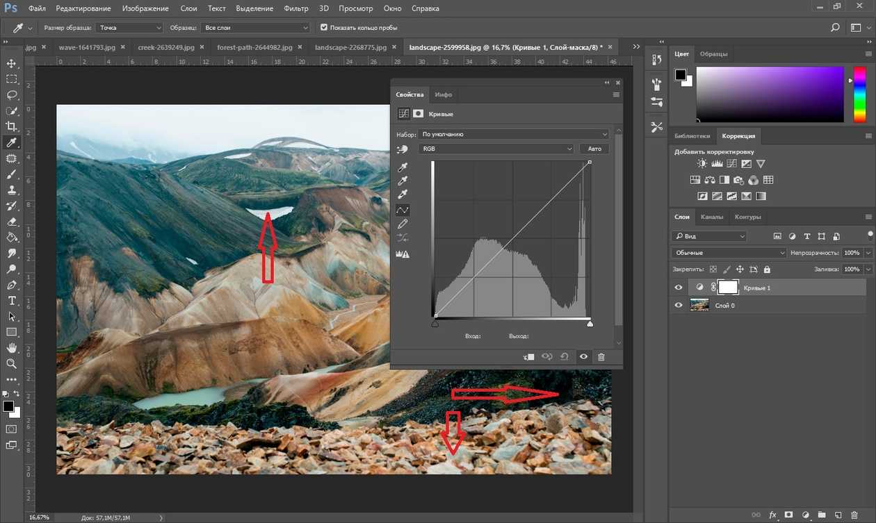 Глава 13 выделение фрагментов изображения. photoshop cs2 и цифровая фотография (самоучитель). главы 10-14