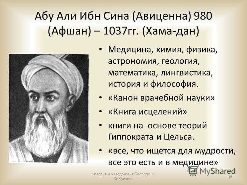 Древнеиранский философ — ибн сина