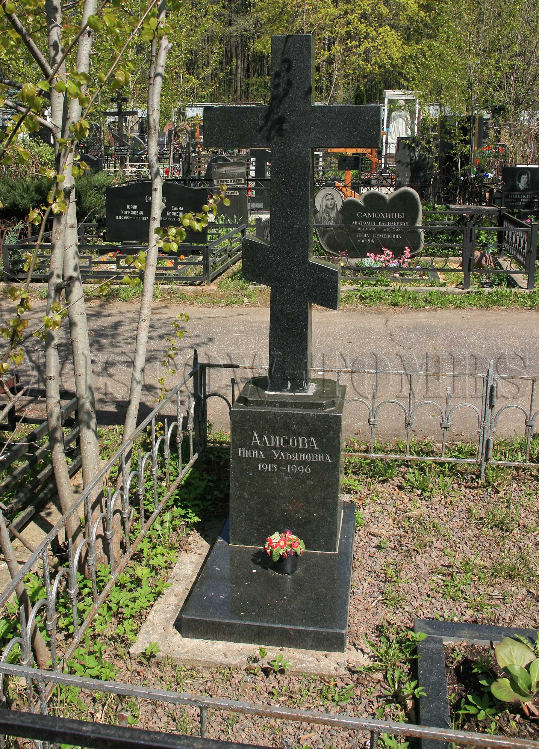 Алисова, нина ульяновна