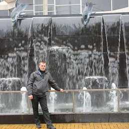 Кознов, дмитрий георгиевич