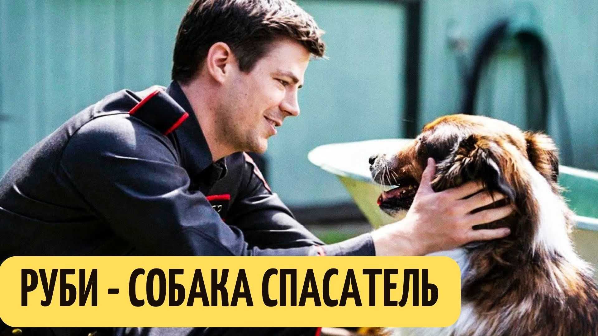 Фильмы netflix 2022: список лучших