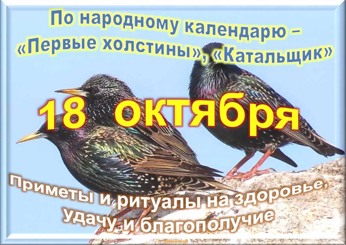 Известные люди родившиеся 12 ноября