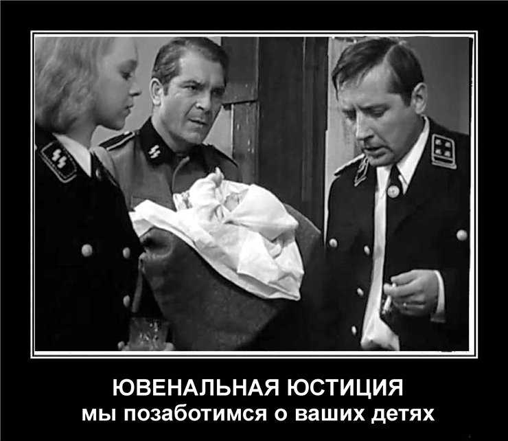 Сергeй шеховцов — биография знаменитости, личная жизнь, дети